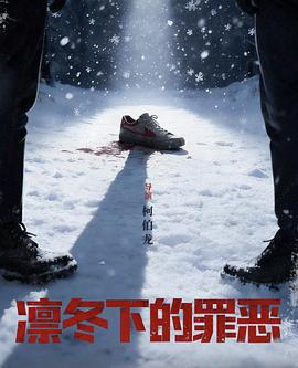 长夜微光电视剧海报
